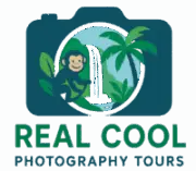 cropped-logo.png